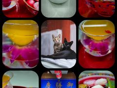 -中卫御苑福膳·养生局(圆明园店)