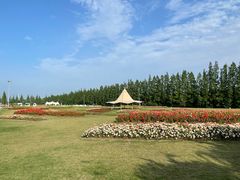 -上海长兴岛郊野公园