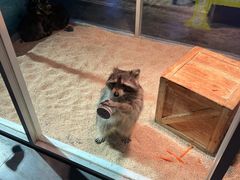 -常州海昌海洋探索馆