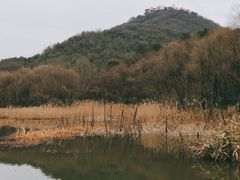 -西湖风景区-江洋畈生态公园