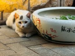 -鲁邦国际风情街(麦世达韩国精品百货店)