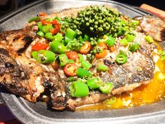 -马邦子·紫苏烤鱼(恒隆广场店)