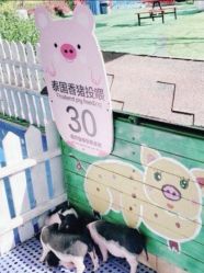 -萌宠亲子动物乐园(槐房万达店)