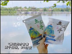 -星湖旅游景区七星岩