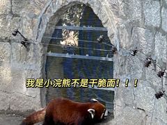 -上海野生动物园