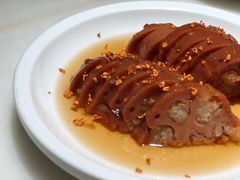 -佬肥猫(国华广场店)