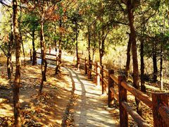 -北京十三陵国家森林公园蟒山景区