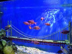 -太平洋海底世界