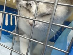 -爱派特动物医院·全科诊疗中心