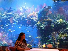 -迪拜帆船酒店海底餐厅