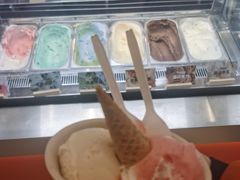 -极拉图·现制冰淇淋(大卫城店)