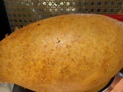 -吴越荣记苏州菜·松鼠桂鱼100%活鱼现做(斜塘老街店)