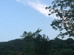 -龙山酒店温泉