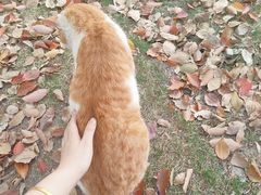 -华东政法大学(松江校区)