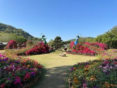-东南花都花博园