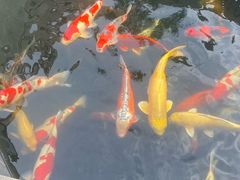 -西安市广仁寺