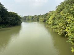 -海珠湖公园
