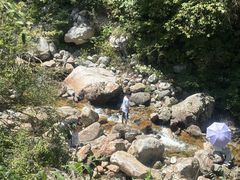 -陕西省红河谷森林公园