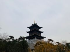 -迎泽公园
