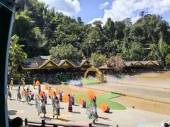 -西双版纳原始森林公园