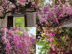 -深圳国际园林花卉博览园