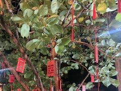 -大理文庙(大理古城)