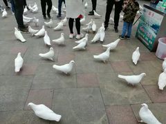 -国色天乡三期陆地乐园