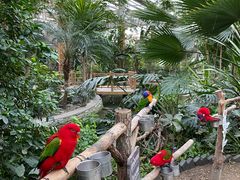 -南宫五洲植物乐园