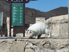 -北京凤凰岭