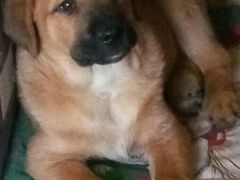 -国御温泉度假小镇