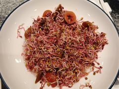 -中国吉菜名店广源宾馆餐厅