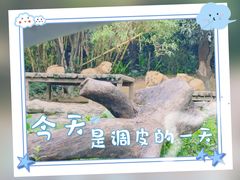 -广州长隆野生动物世界