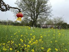 -武汉紫薇都市田园