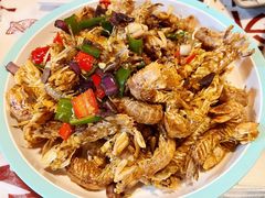 -吉利龙虾·新派海鲜烧烤