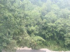 -青城两河漂流