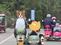 -明仕田园