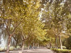 -云龙湖旅游景区