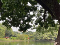 -晓港公园