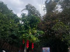 -广州市流溪河国家森林公园