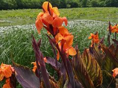 -贵阳市花溪国家城市湿地公园