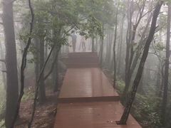 -罗田薄刀峰风景区