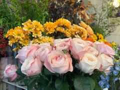 -雕刻时光咖啡馆(北师大店)