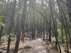 -云龙山