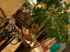 -金紫荆松骨休闲水会