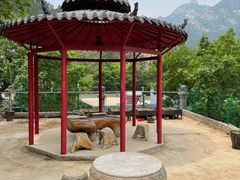 -老张烤羊(王哥庄店)