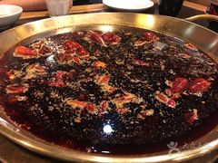 -杨家火锅(国美店)