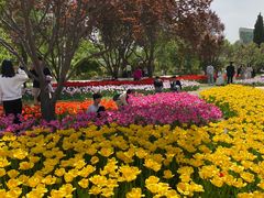 -石家庄市植物园