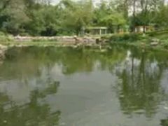 -广西壮族自治区药用植物园