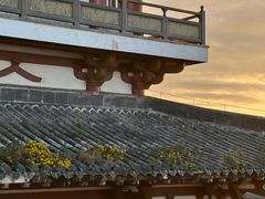 -千年银杏谷文化旅游区