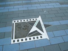 -星光大道